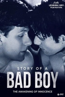 Story of a Bad Boy