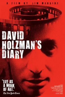 Ver película El diario de David Holzman