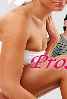 El diario de una prostituta streaming en ligne gratuit