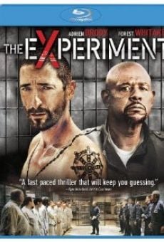 The Experiment online kostenlos