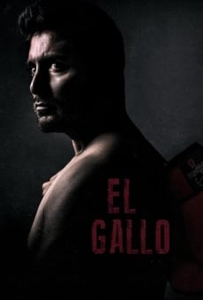 Ver película El Gallo