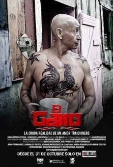 El Gallo online streaming
