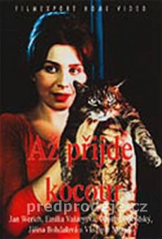 Az prijde kocour - The Cassandra Cat streaming en ligne gratuit