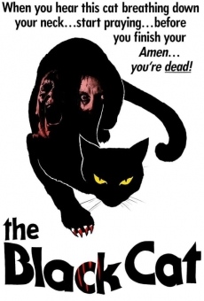 The Black Cat