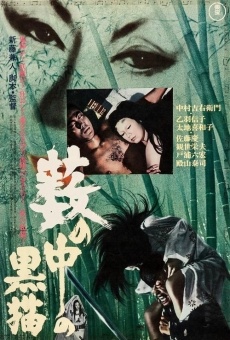 The Black Cat from the Grove