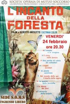 L'incanto della foresta stream online deutsch