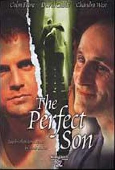 The Perfect Son online kostenlos