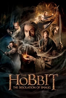 Película: El Hobbit: La desolación de Smaug