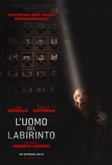 L'uomo del labirinto stream online deutsch