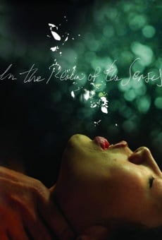 In the Realm of the Senses en ligne gratuit