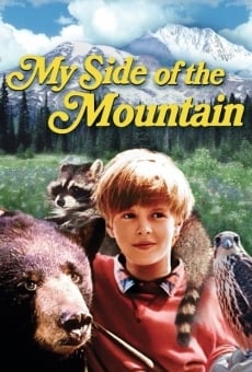 Ver película El muchacho y su montaña