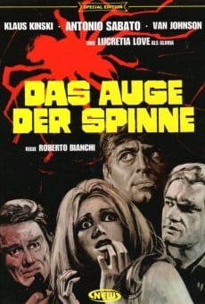 Das Auge der Spinne