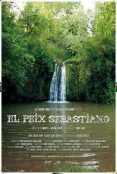 El peix Sebastiano en ligne gratuit