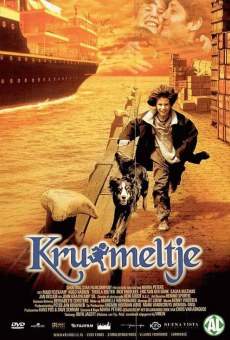 Il sogno di Crumb online streaming
