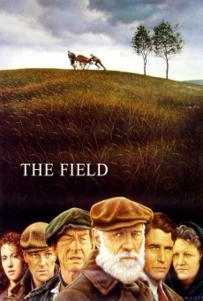 Il campo online streaming