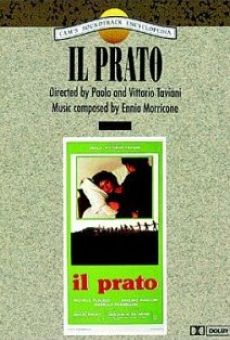 Il prato