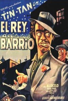 El rey del barrio online streaming