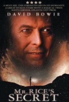 Mr. Rice's Secret online streaming