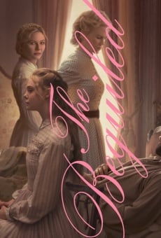 The Beguiled en ligne gratuit