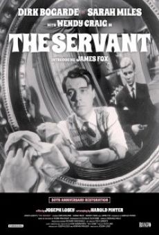 The Servant online