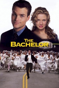 The Bachelor online