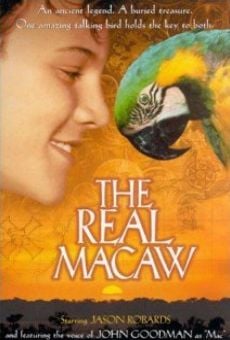 The Real Macaw stream online deutsch