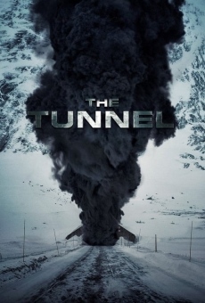 Ver película El túnel