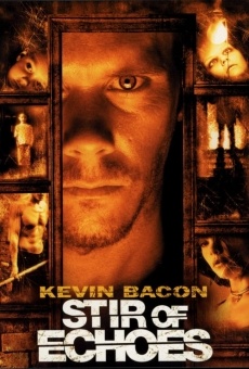 Stir of Echoes online kostenlos