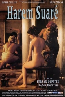 Harem Suare online free