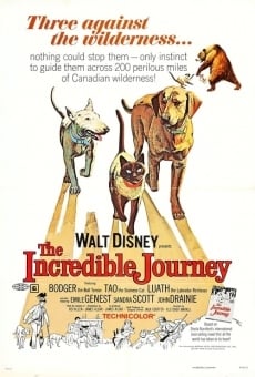 The Incredible Journey online free