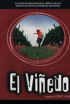 El Viñedo gratis