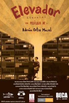 Elevador on-line gratuito