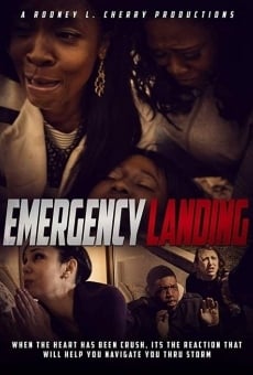 Ver película Aterrizaje de emergencia