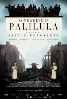 Ver película En algún lugar de Palilula