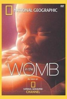 Ver película En el vientre materno: gemelos, trillizos y cuatrillizos
