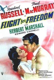 Flight for Freedom online kostenlos