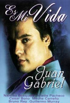 Es mi vida online streaming