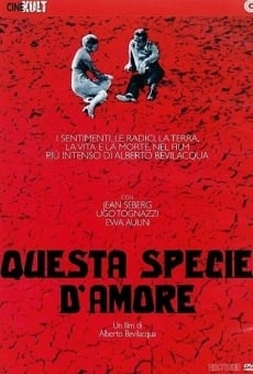 Questa specie d'amore on-line gratuito