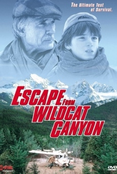 Ver película Escape from Wildcat Canyon