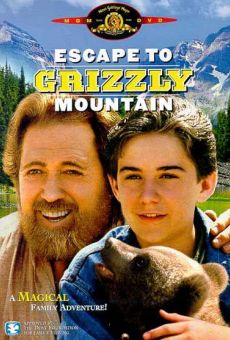 Escape to Grizzly Mountain online