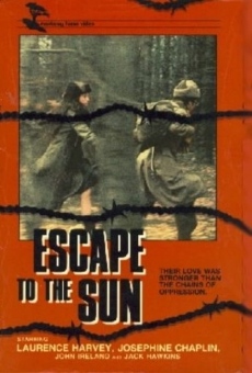 Ver película Escape to the Sun