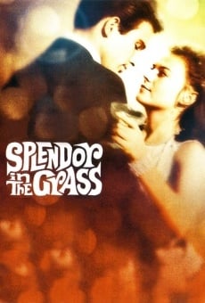 Splendor in the Grass stream online deutsch