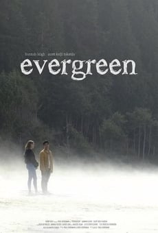 Evergreen streaming en ligne gratuit