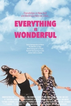 Everything is Wonderful stream online deutsch