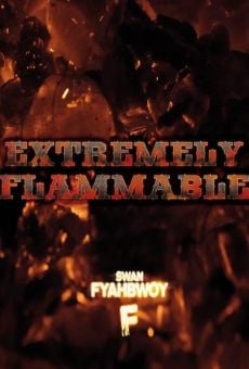 Ver película Extremely Flammable