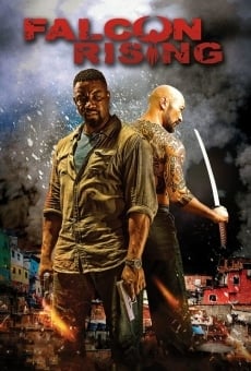 Watch Falcon Rising online stream