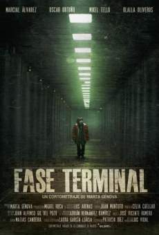 Fase Terminal on-line gratuito