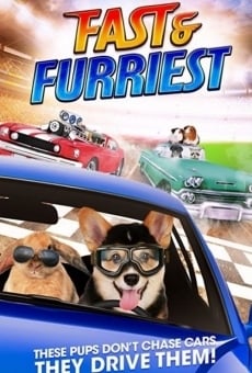 Fast and Furriest streaming en ligne gratuit