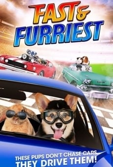 Fast and Furriest en ligne gratuit