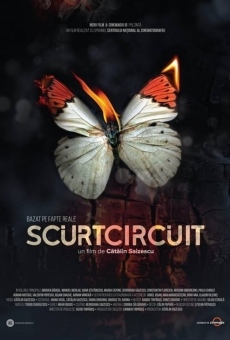 Scurtcircuit stream online deutsch